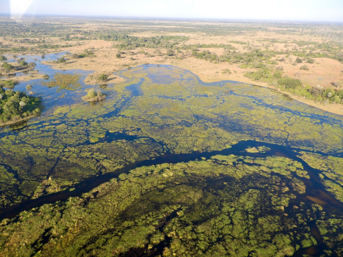 Botswana, oltre il&nbsp;Safari